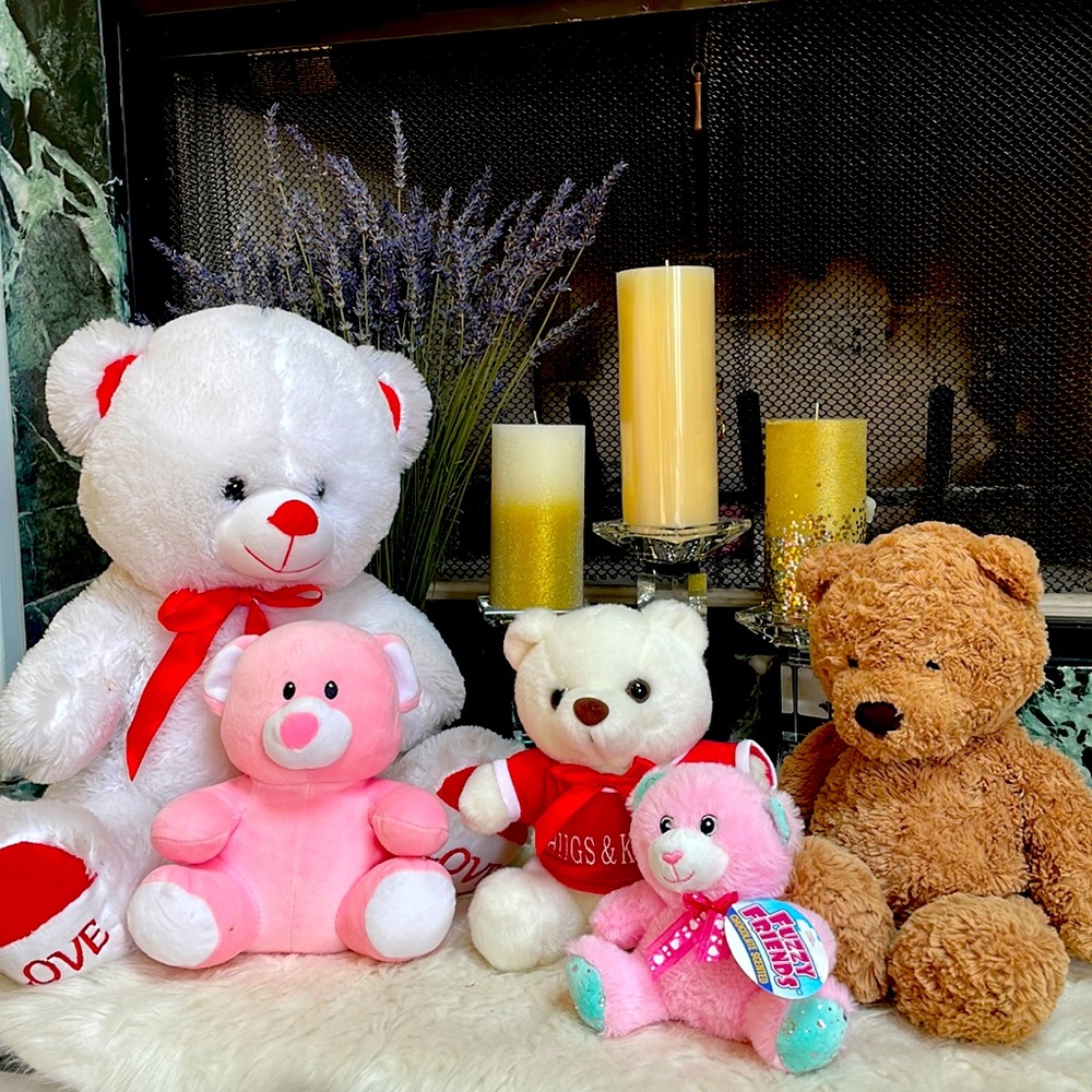 Birthday theme? Just fun? BEAR FAMILY TOYS! 5 toys priced to sell!